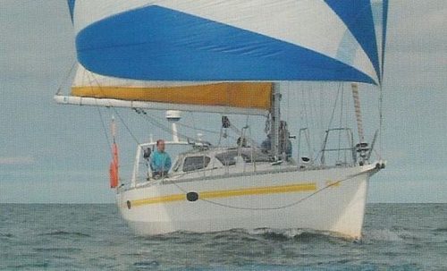 Hermine 36